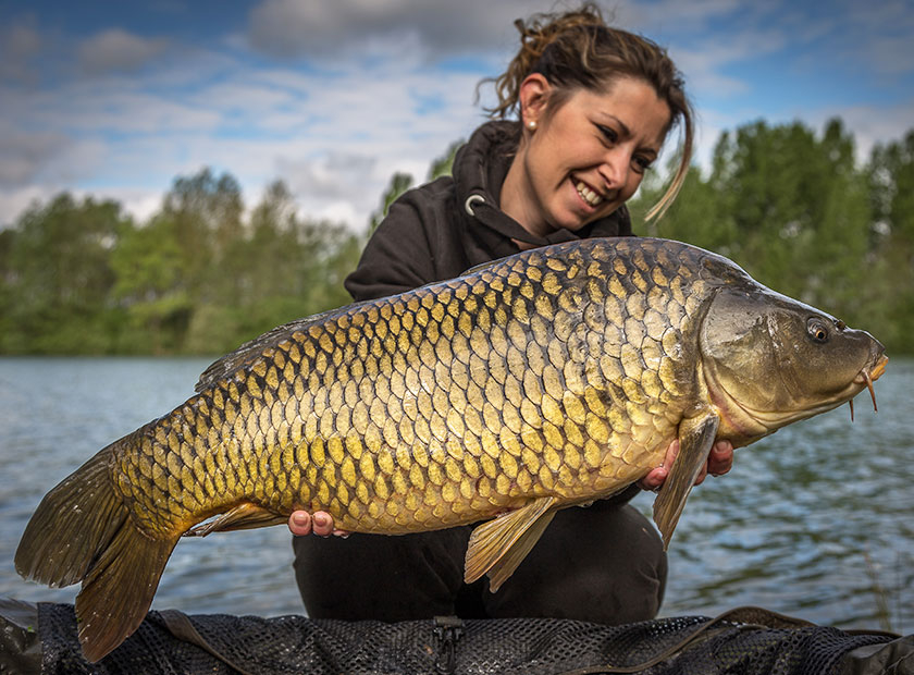 mon matériel actuel peche_du_31_janvier_2009_004 - pêche carpe  no kill   ptignogno6162