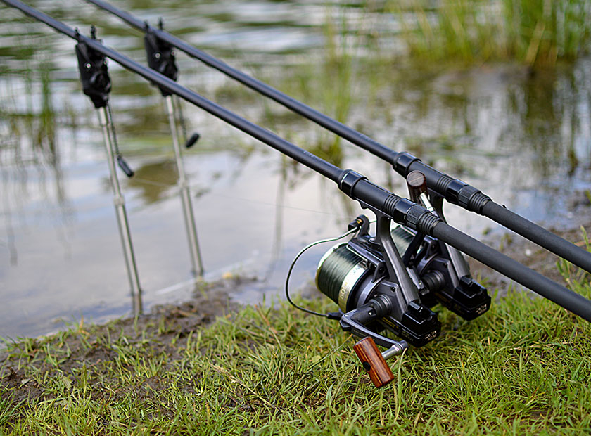 Pêche de la carpe : comment réaliser un bas de ligne Multi Rig ?