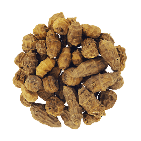 Tigernuts XXL 11-35mm