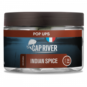 Pop-Ups Indian Spice