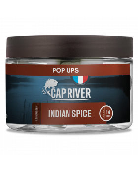 Pop-Ups Indian Spice
