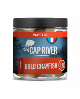 Wafters Gold Crayfish (écrevisse)