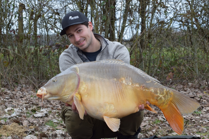 montage a carpe en etang