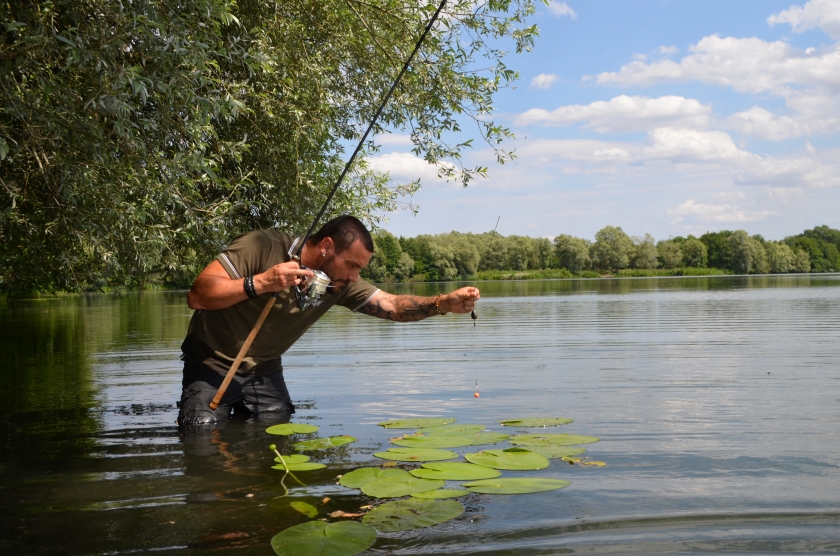 Pêche de la carpe en été au milieu des nénuphars