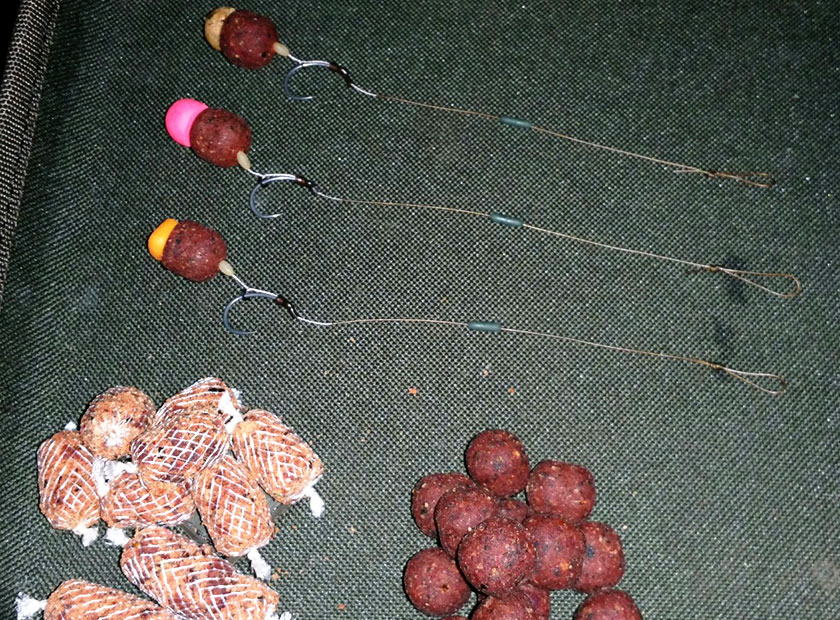 montage carpe herbier