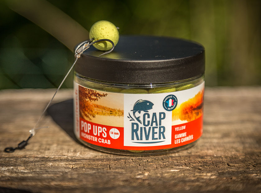 Montage carpe pop up Clearance