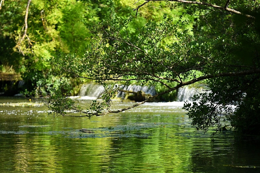 pêche carpe rivière conseils