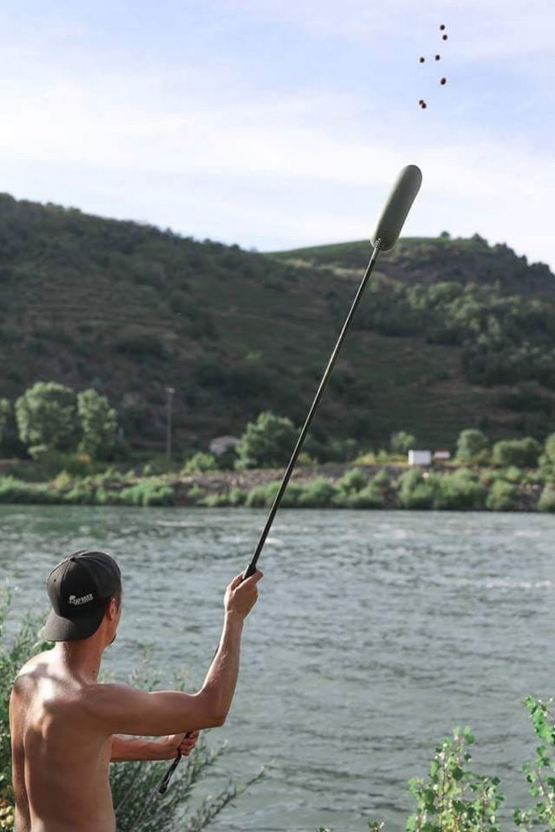 pêche carpe amorçage débutant appâts