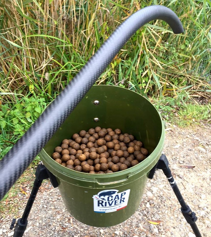 pêche carpe amorçage débutant appâts