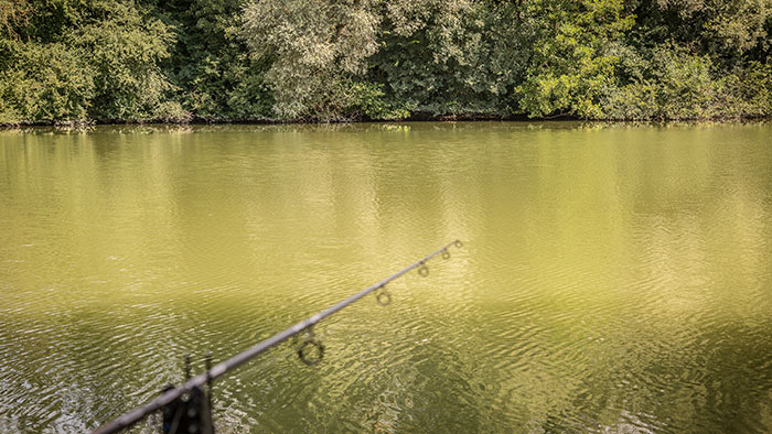 pêche de la carpe et obstacles