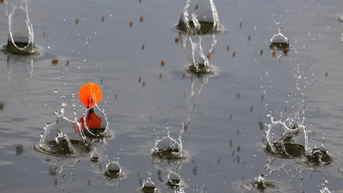 repérage et sondage pour la pêche de la carpe